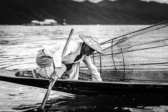 A fisherman sorts his catch in his boat on Inle Lake, Myanmar - Leo Smith Photo Video