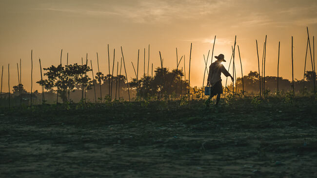 Leo Smith Photo Video: A farmer waters his crops at sunset, Hpa-An, Myanmar (Burma)